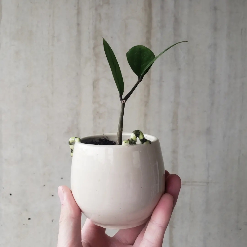 Handmade Inchworm Pot - Picture 2 of 3